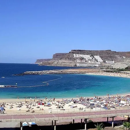 Chatur Palmera Mar Amadores